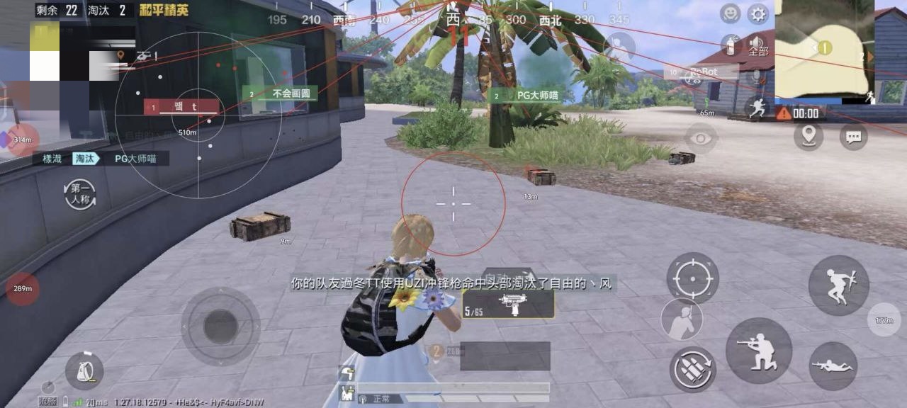 和平精英辅助市场：不法交易的暗流