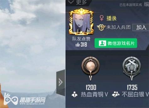 和平精英《迪达拉pro》辅助